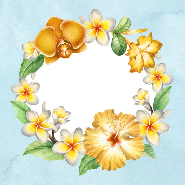 Akvarel Pozadí Tropický Květinový Věnec — Stock fotografie