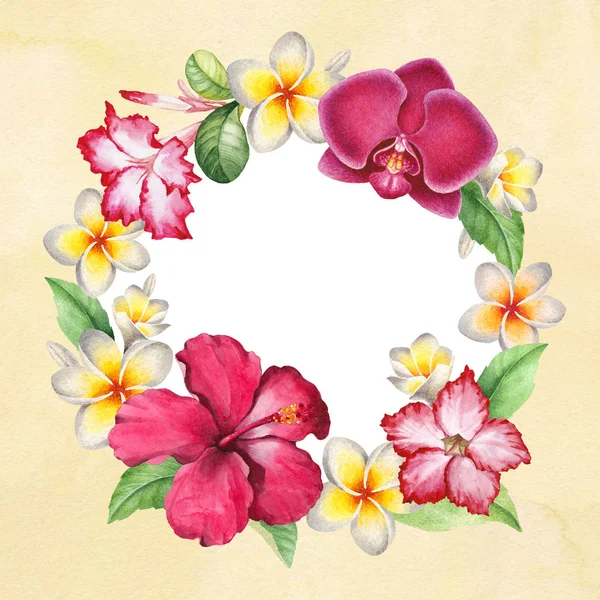 Watercolor Background Tropical Floral Wreath — Stock Photo, Image