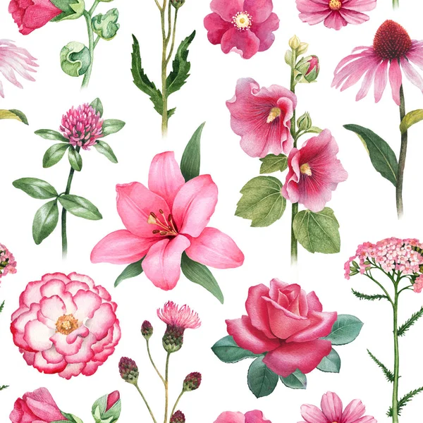 Akwarela Ilustracje Różowe Kwiaty Wzór — Zdjęcie stockowe