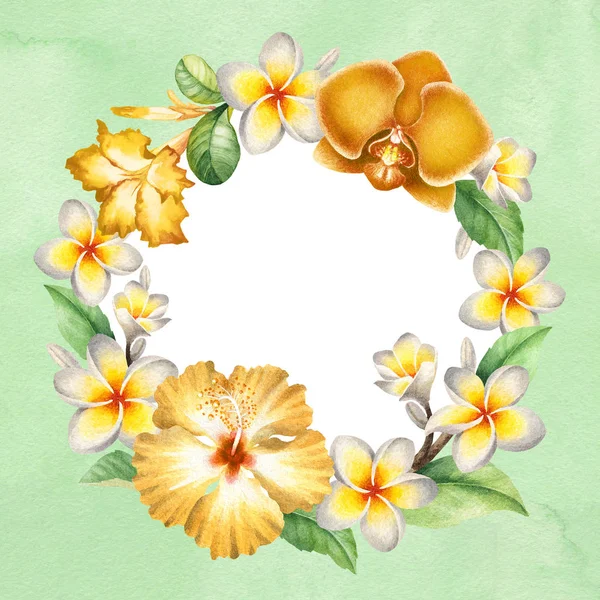 Aquarell Hintergrund Tropischer Blumenkranz — Stockfoto