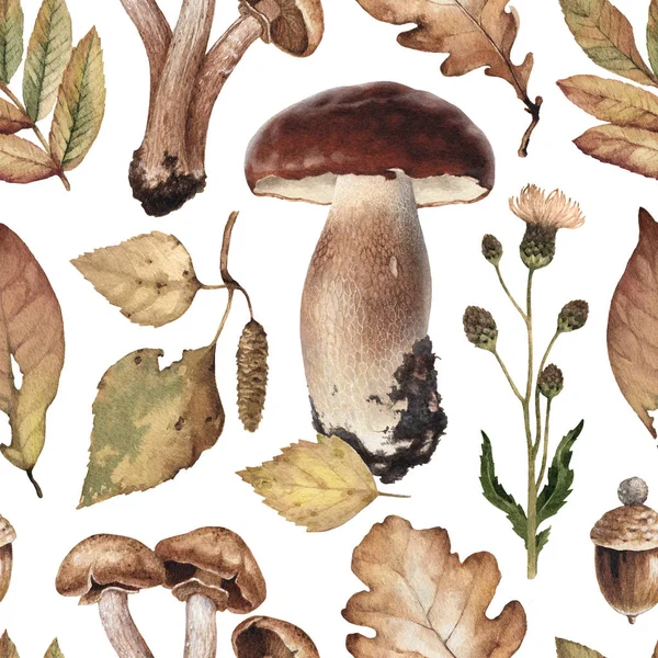 Illustrazioni Acquerello Funghi Foglie Modello Senza Cuciture — Foto Stock