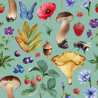 Yaz Dikişsiz desen. Çiçekler, meyveler, mantar ve böcek suluboya çizimler 