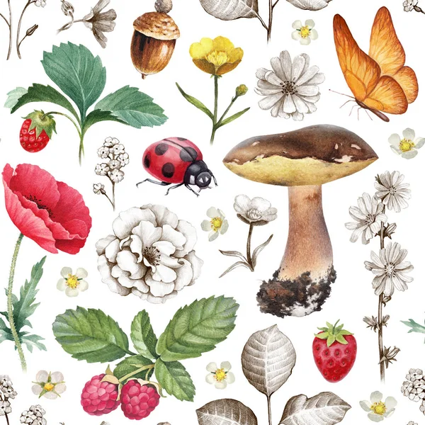 Sommer Nahtlose Muster Illustrationen Von Blumen Beeren Pilzen Und Insekten — Stockfoto