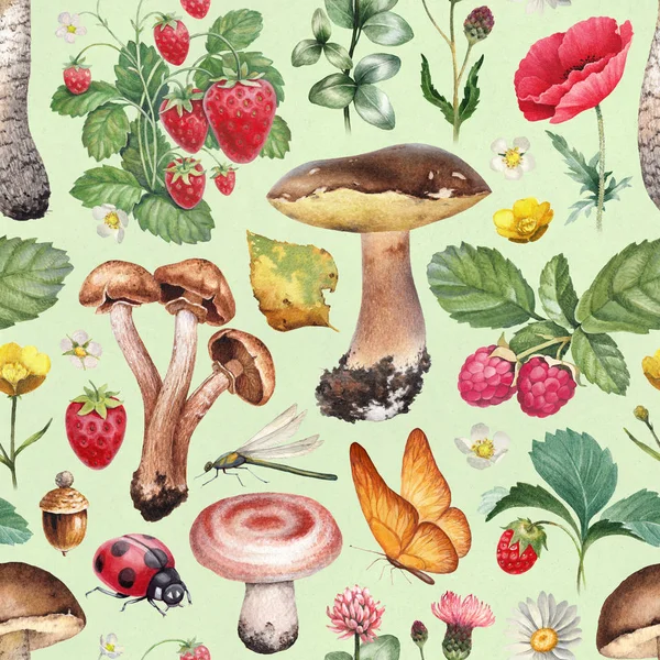 Modello Senza Cuciture Estate Illustrazioni Acquerello Fiori Bacche Funghi Insetti — Foto Stock