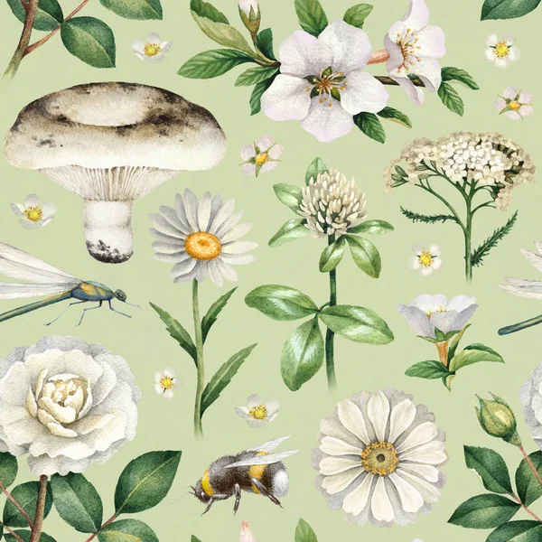 夏の花と昆虫の水彩イラストとシームレスなパターン — ストック写真