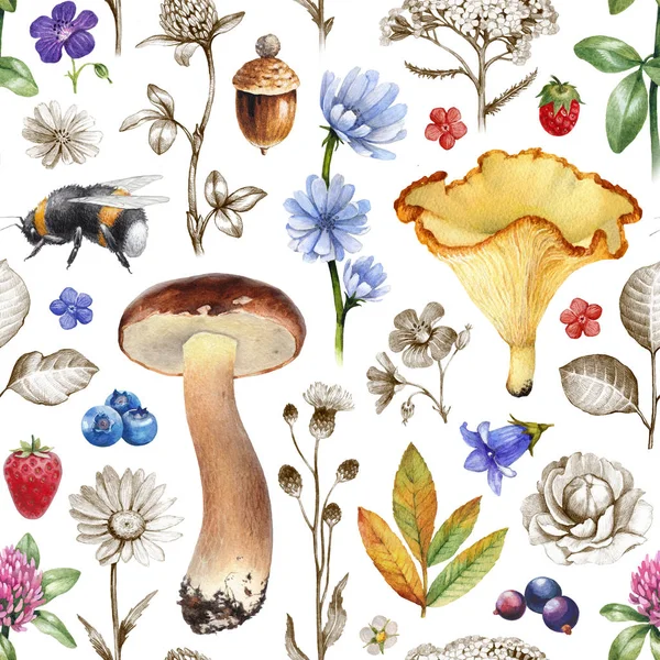 Zomer Naadloze Patroon Illustraties Van Bloemen Insecten Bessen Paddestoelen — Stockfoto