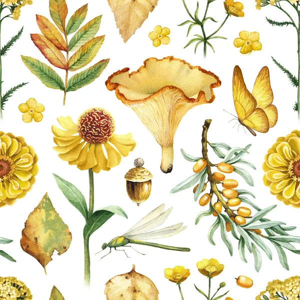 Zomer Naadloze Patroon Met Aquarel Illustraties Van Bloemen Champignons Insecten — Stockfoto