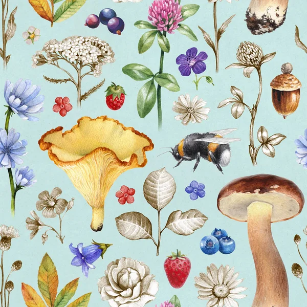 Modèle Sans Couture Été Illustrations Fleurs Baies Champignons Insectes — Photo