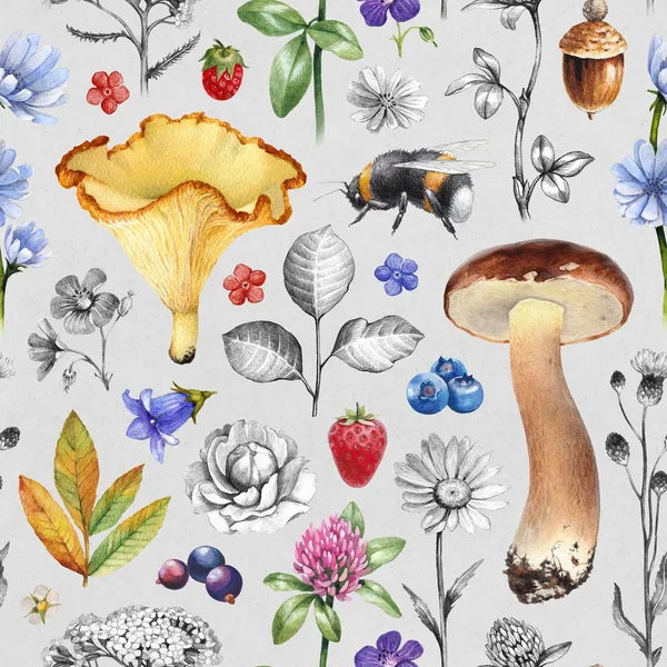 Padrão Sem Costura Verão Ilustrações Flores Bagas Cogumelos Insetos — Fotografia de Stock