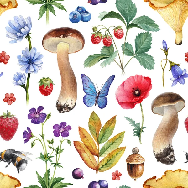 Letní Vzor Bezešvé Akvarelu Ilustrace Květin Plodů Hub Hmyzu — Stock fotografie