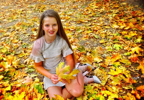 Autumn fashion dress child girl sitting fall leaves park outdoor. — Stock Photo, Image