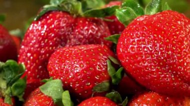 Dikey hareket ile kırmızı dut ve yeşil yaprakları .