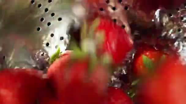 Jordgubb med löv närbild under rinnande vatten strömmar — Stockvideo