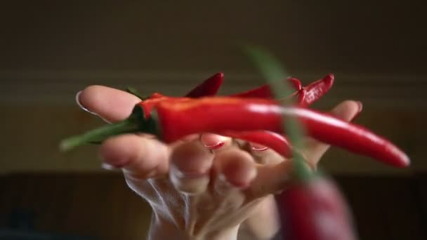 Chilipeppar Pods hoppa i händer. Slow motion — Stockvideo