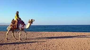 Çocuklar için deve sürerken Mısır turizm tatili