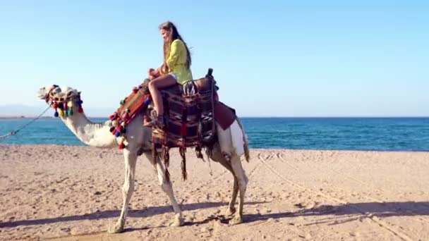 Egypte oont toeristische vakantie met kameel rijden voor kinderen — Stockvideo