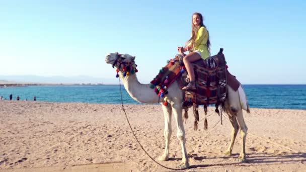 Egypt cestovní ruch s velbloudí jízdu zpět, tradiční zábavu — Stock video