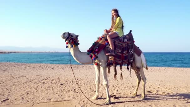 Egypt cestovní ruch s velbloudem na koni zpět pro děti — Stock video