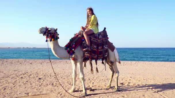 Egypte zomervakantie met kameel rijden voor kinderen — Stockvideo