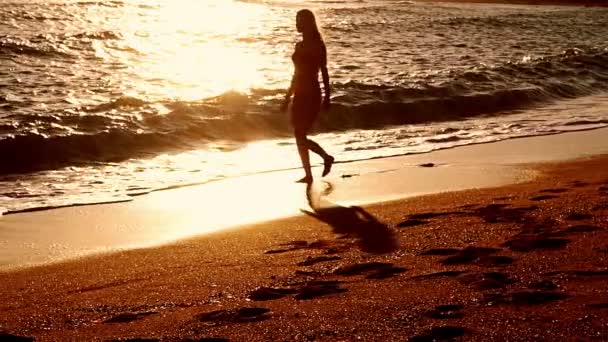 Movimento lento sépia andando de manhã em praias areia do mar — Vídeo de Stock