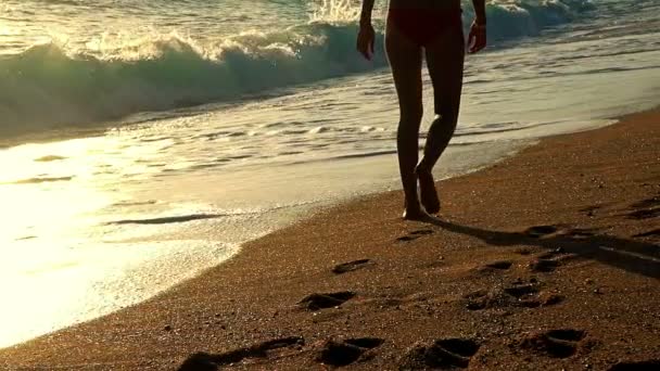 Piedi lenti che camminano al mattino sulle spiagge di sabbia marina — Video Stock