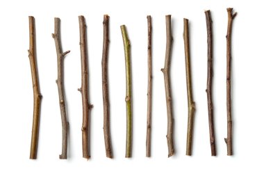 Row of dry wooden twigs isolated on white clipart