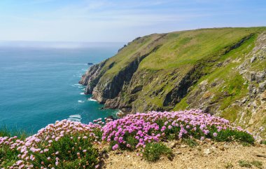 Lundy Adası Devon kapalı kayalık kıyı