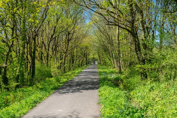 Paar paardrijden fietsen op de Tarka Trail in Devon — Stockfoto