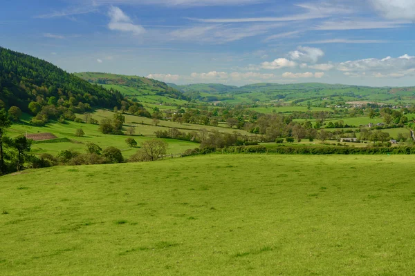 Panorama over typical english or welsh farming country — Stock Photo, Image