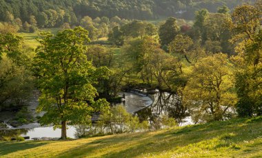 Horseshoe Falls Llangollen Galler'de dışında