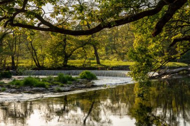 Horseshoe Falls Llangollen Galler'de dışında