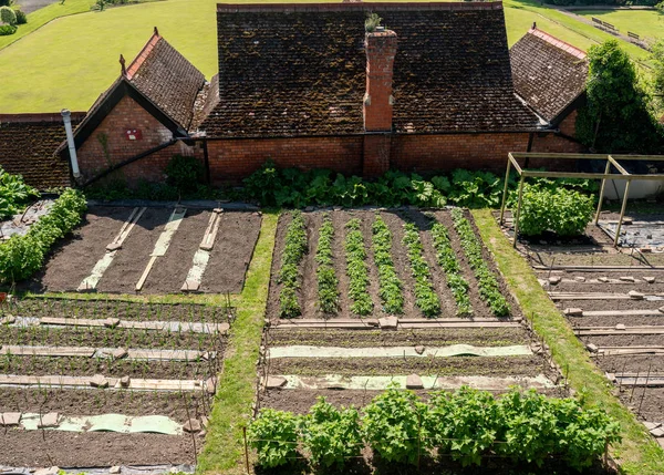 Lots et légumes en Shrewsbury, Shropshire — Photo