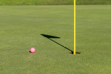 Pembe golf topu bayrak ve yeşil delik