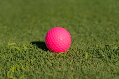 Pembe golf topu yeşil koyarak kenarında