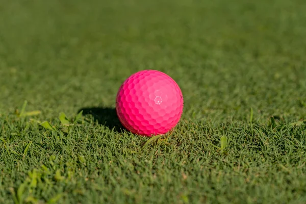 Pink golf ball on the edge of putting green — Stock Photo, Image