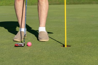 Pembe golf topu bayrak ve yeşil delik