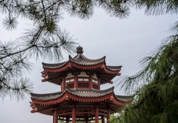 Techos chinos tradicionales en la pagoda gigante del ganso salvaje —  Fotos de Stock