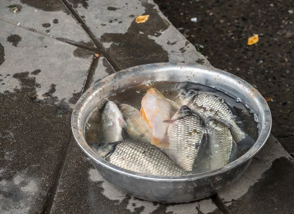 Fisch aus dem Fluss Haihe in Tianjin zu verkaufen — Stockfoto