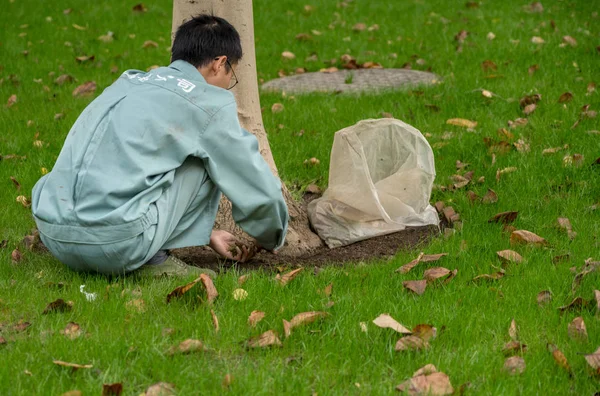 Dělník, odstraňování plevele a listí v parku národů v Šanghaji — Stock fotografie