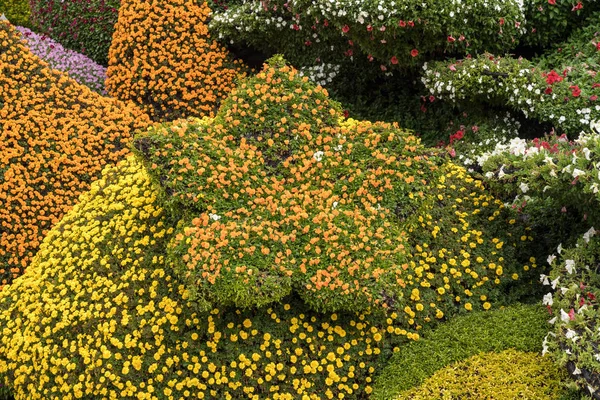 Floral οθόνη για την εθνική ημέρα στη Σαγκάη — Φωτογραφία Αρχείου