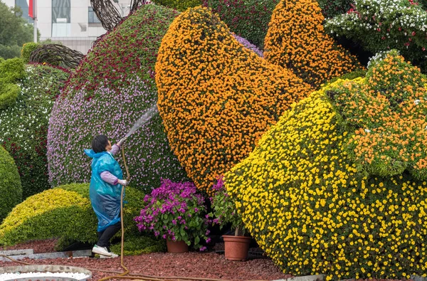 Blumenschmuck zum Nationalfeiertag in Shanghai gießen — Stockfoto