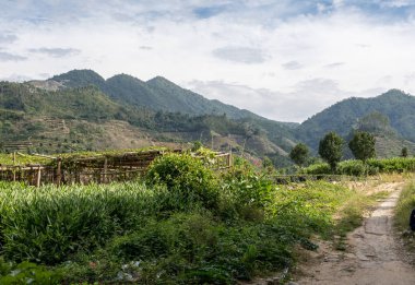 Çay Huaan Unesco Dünya Mirası sit alanı, dış Tulou çalılar