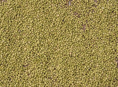 Yeşil bezelye Tulou Fujian Eyaleti içinde kurutma