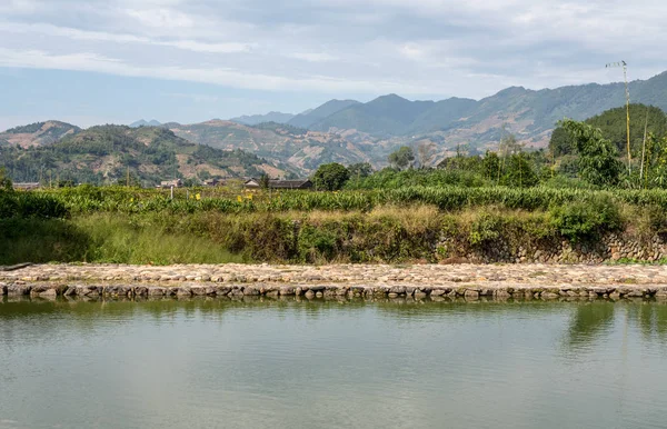 Arbustos de té fuera de Tulou en Huaan Patrimonio de la Humanidad de la Unesco — Foto de Stock