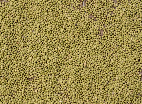 Green split peas drying inside Tulou in Fujian Province — Stock Photo, Image