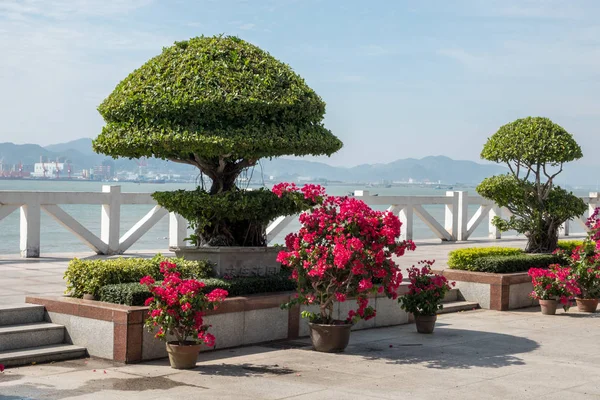 Insel Gulangyu in der Nähe von Xiamen China — Stockfoto