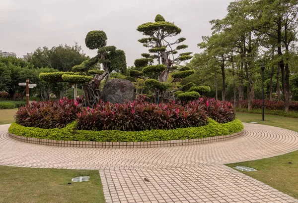 Ozdobne topiary w parku Bailuzhou w Xiamen — Zdjęcie stockowe