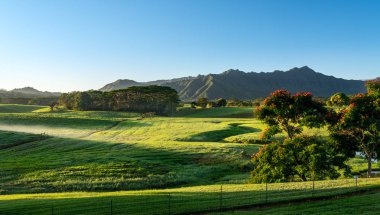 Jurassic Bahçe Kauai Adası çarpıcı manzara