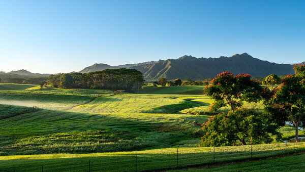 Striking landscape of Jurassic garden island of Kauai