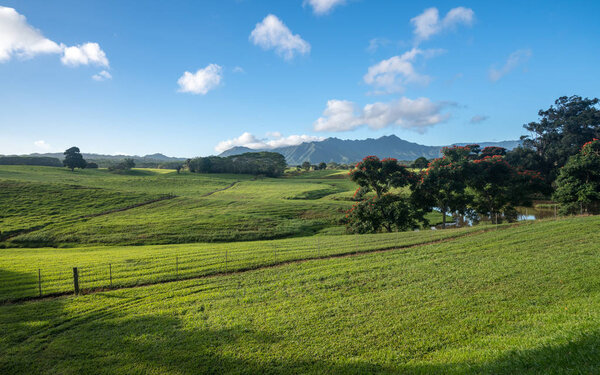 Striking landscape of Jurassic garden island of Kauai